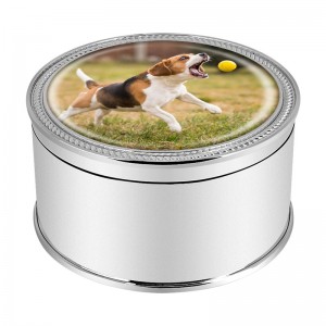 Metal urn for dog ashes